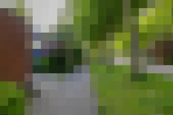 Albrondaheerd 49 Groningen thumbnail 12