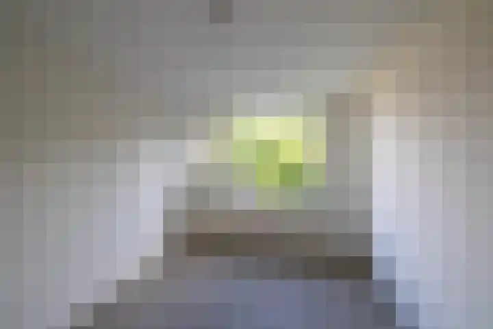 Albrondaheerd 49 Groningen thumbnail 15