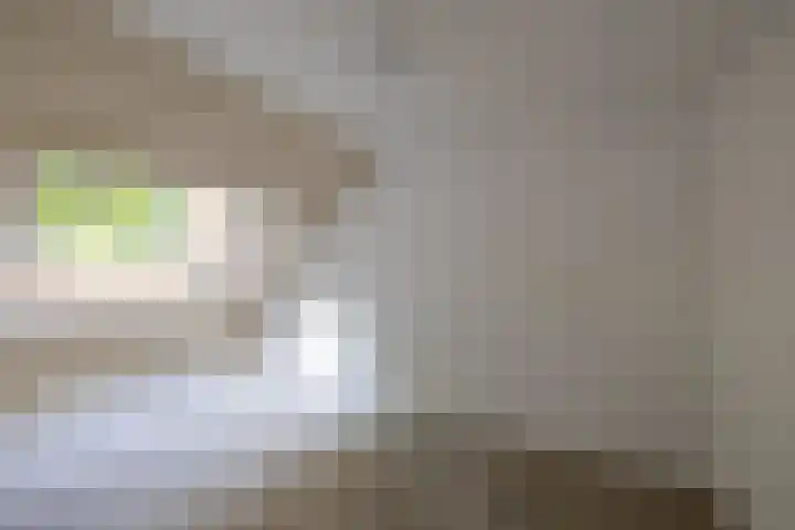 Albrondaheerd 49 Groningen thumbnail 16