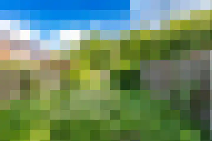 Albrondaheerd 49 Groningen thumbnail 21