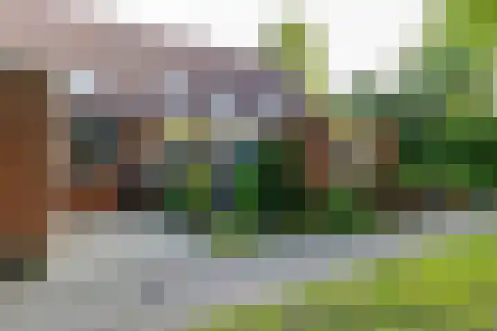 Albrondaheerd 49 Groningen thumbnail 23
