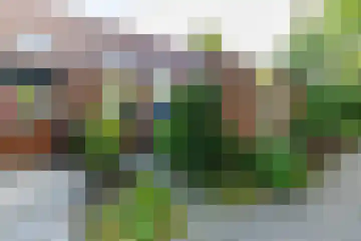 Albrondaheerd 49 Groningen thumbnail 5