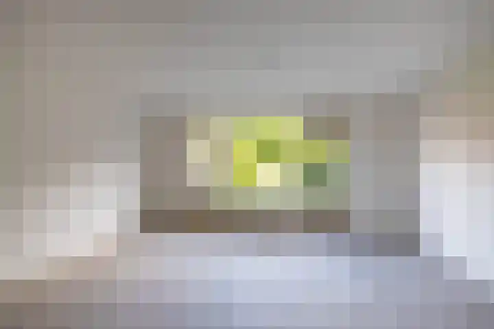 Albrondaheerd 49 Groningen thumbnail 7