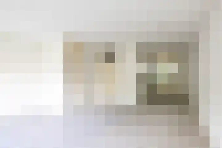 Albrondaheerd 49 Groningen thumbnail 8