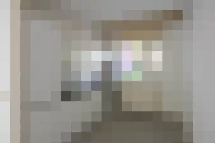 Albrondaheerd 49 Groningen thumbnail 9