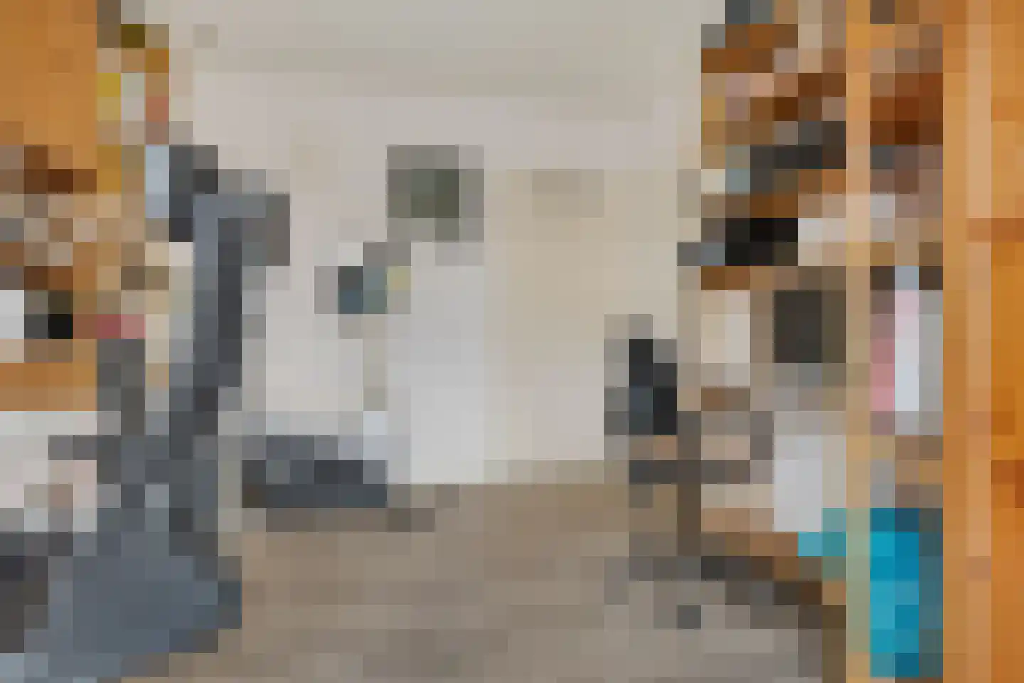 Albrondariep 8 Uithuizen thumbnail 14