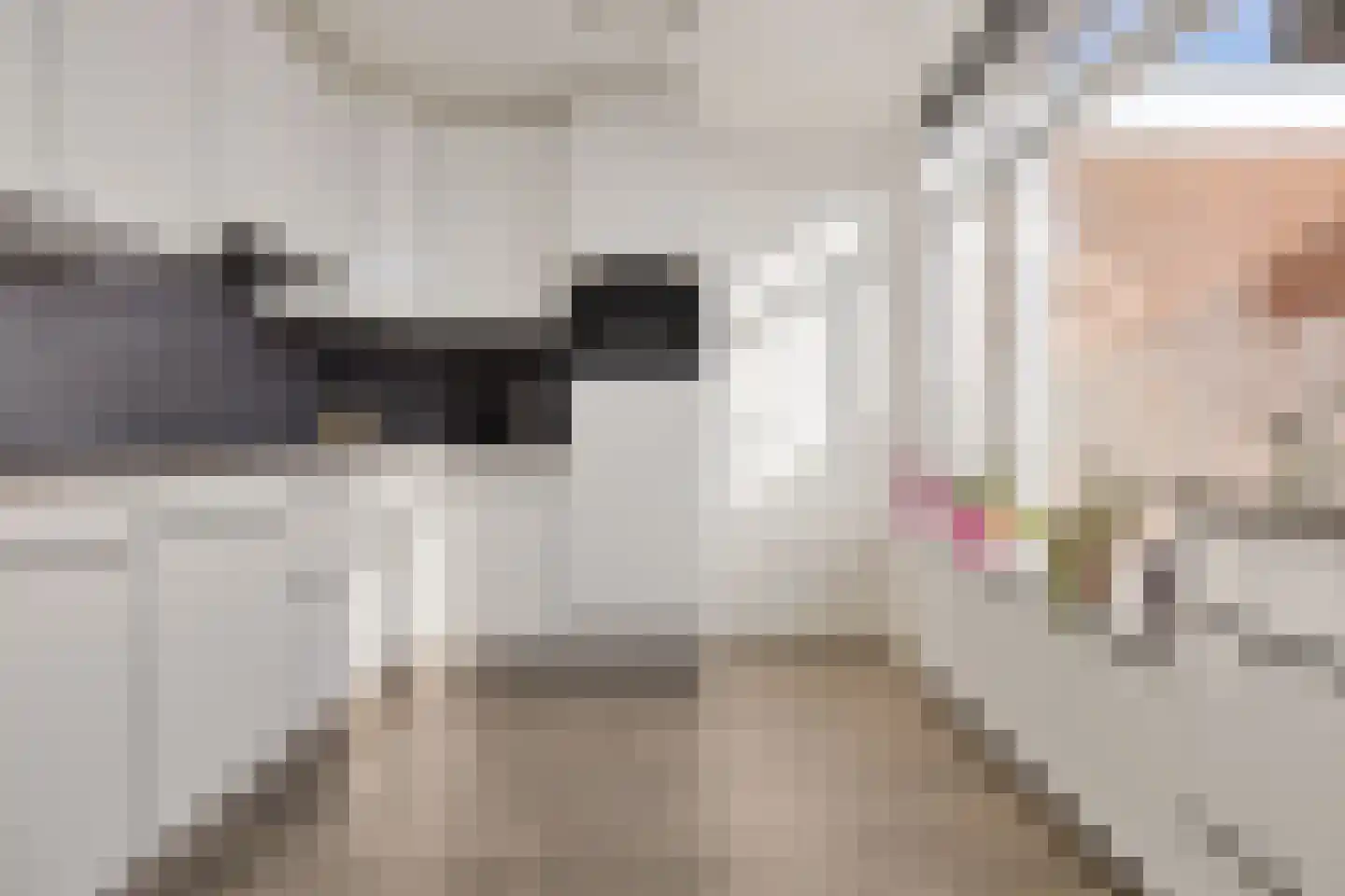 Albrondariep 8 Uithuizen thumbnail 27