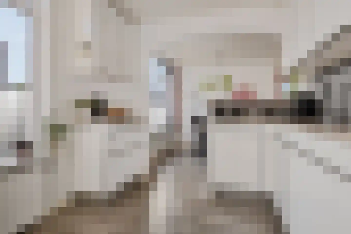 Albrondariep 8 Uithuizen thumbnail 28