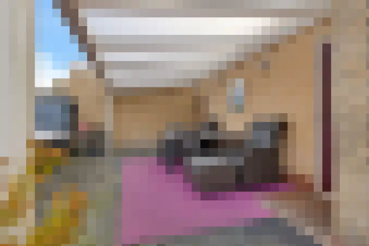 Albrondariep 8 Uithuizen thumbnail 33