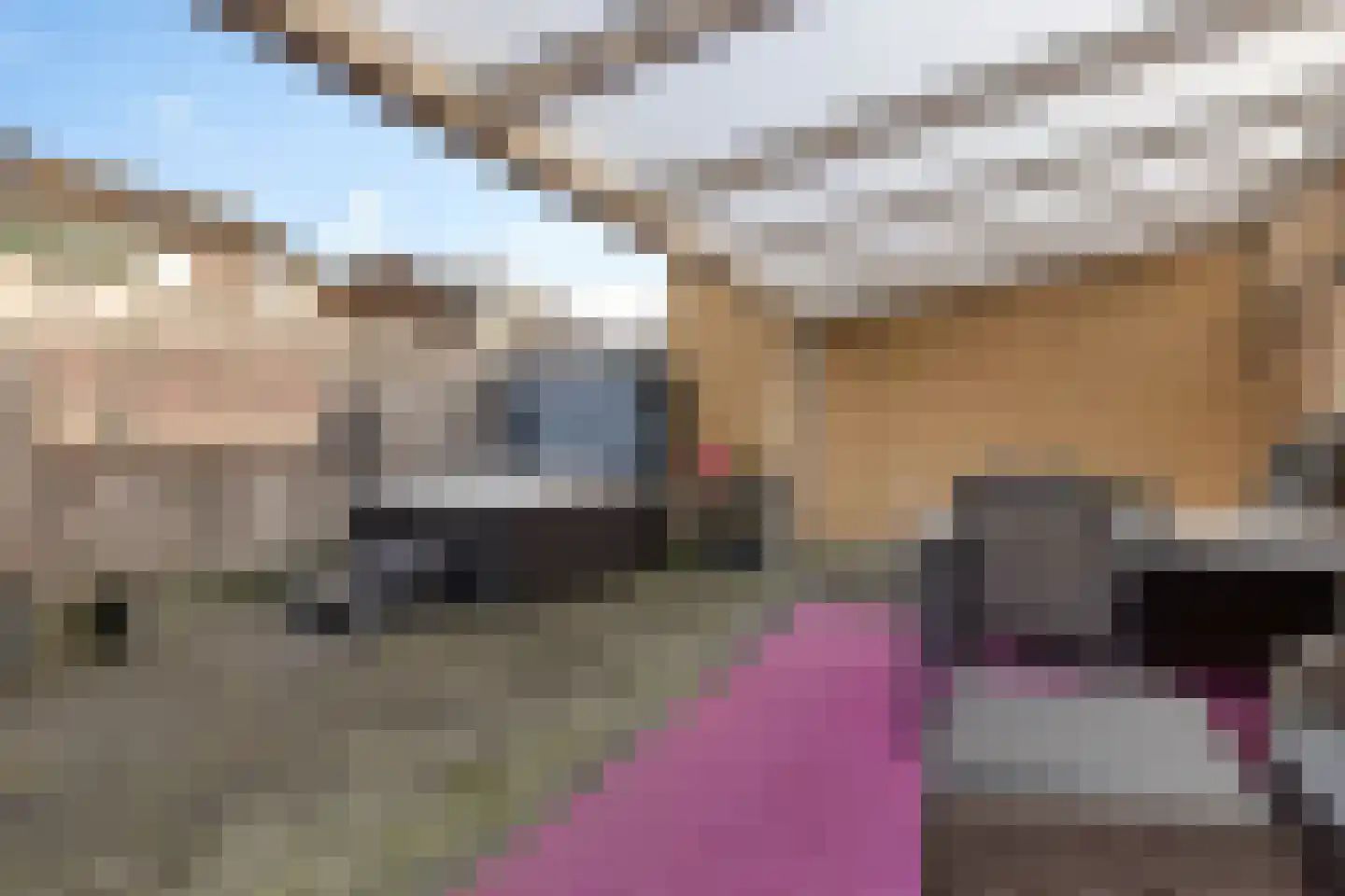 Albrondariep 8 Uithuizen thumbnail 34