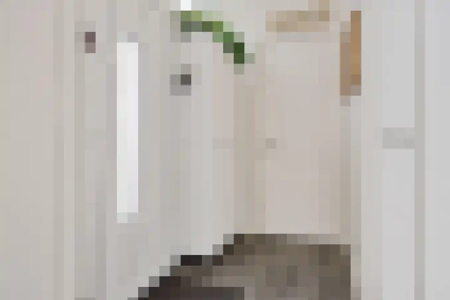 Albrondariep 8 Uithuizen thumbnail 8