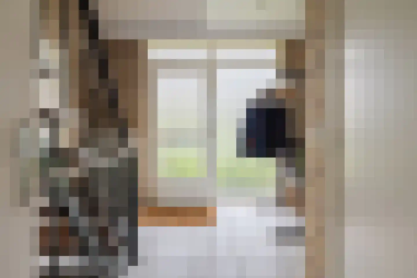 Albstraat 2 Schoonebeek thumbnail 16