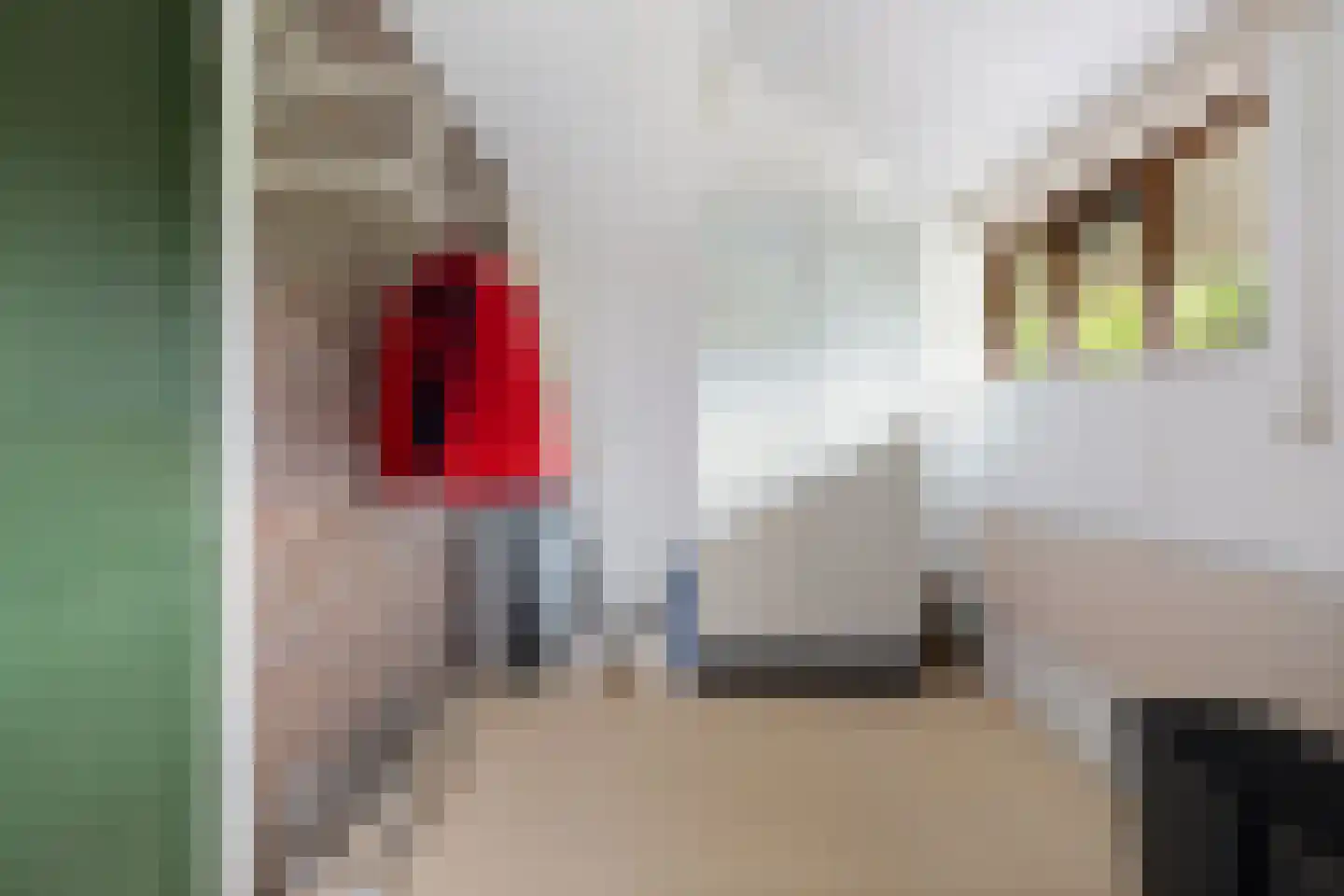 Albstraat 2 Schoonebeek thumbnail 29
