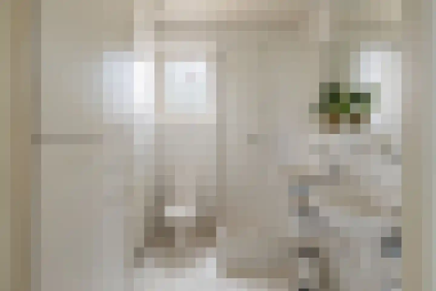 Albstraat 2 Schoonebeek thumbnail 34