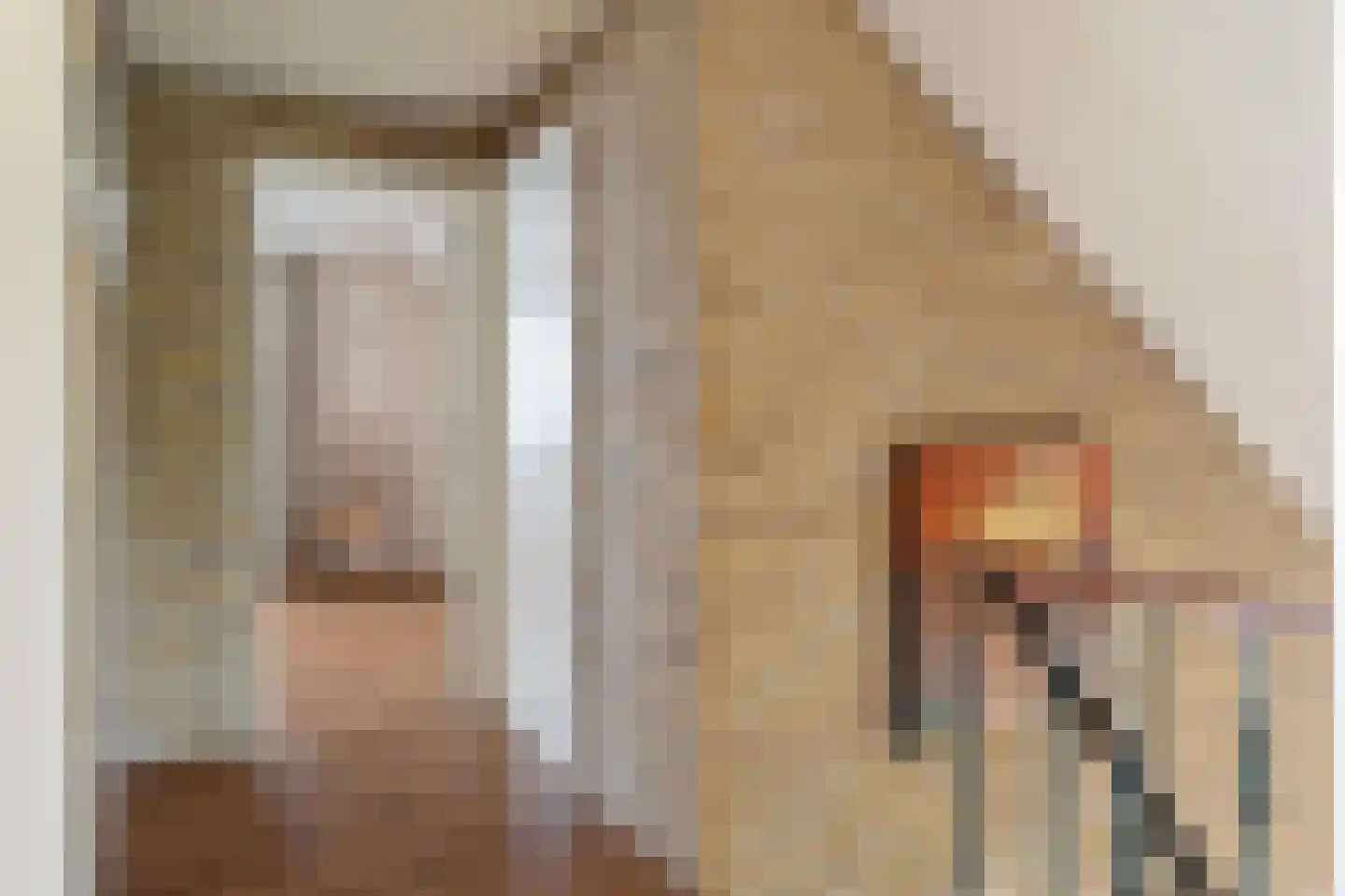 Albstraat 2 Schoonebeek thumbnail 38