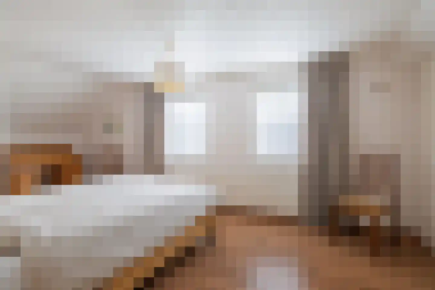 Albstraat 2 Schoonebeek thumbnail 39