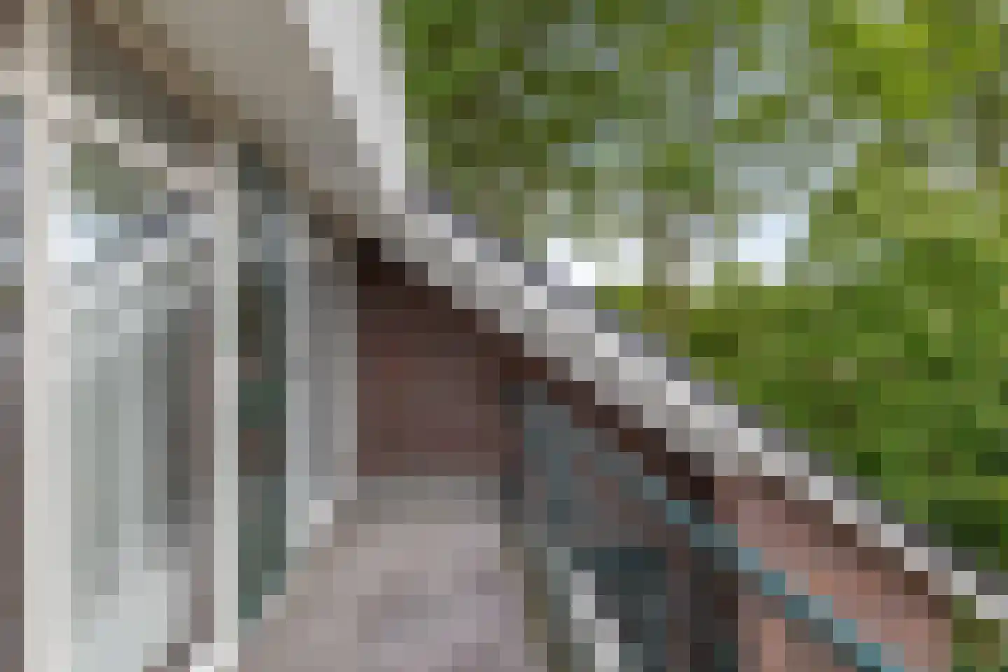 Albstraat 2 Schoonebeek thumbnail 45