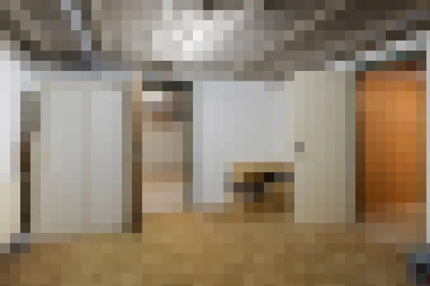 Albstraat 2 Schoonebeek thumbnail 51