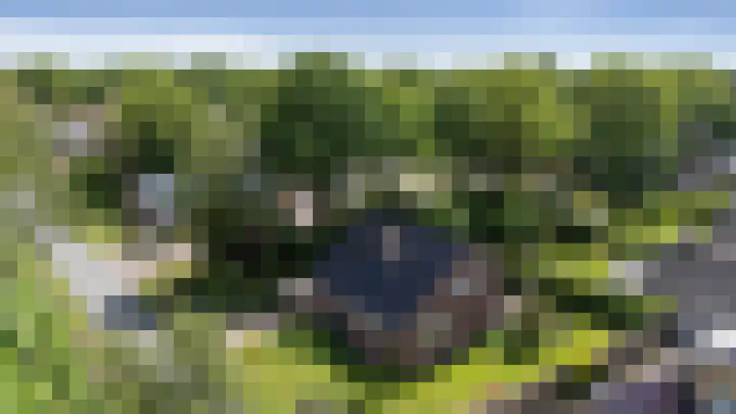 Albstraat 2 Schoonebeek thumbnail 55