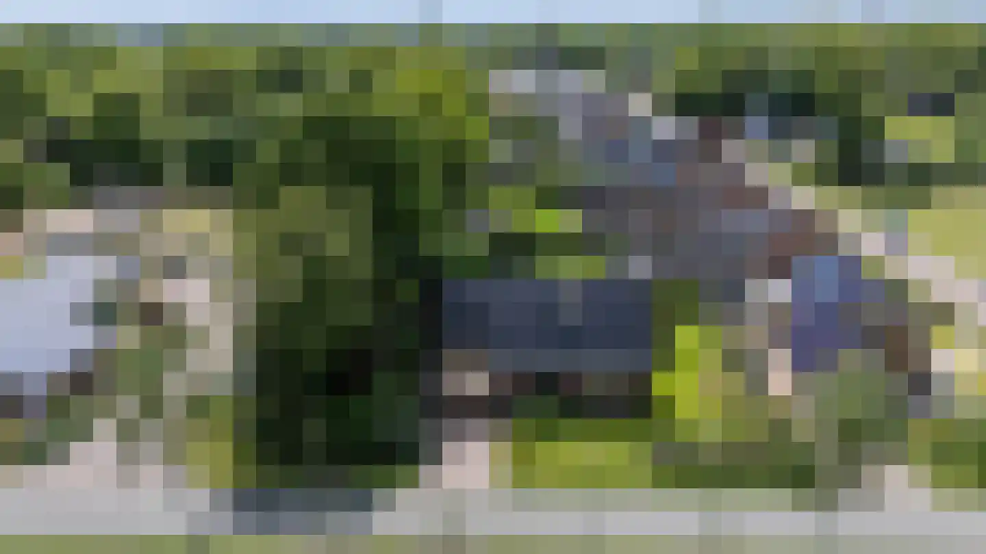 Albstraat 2 Schoonebeek thumbnail 56