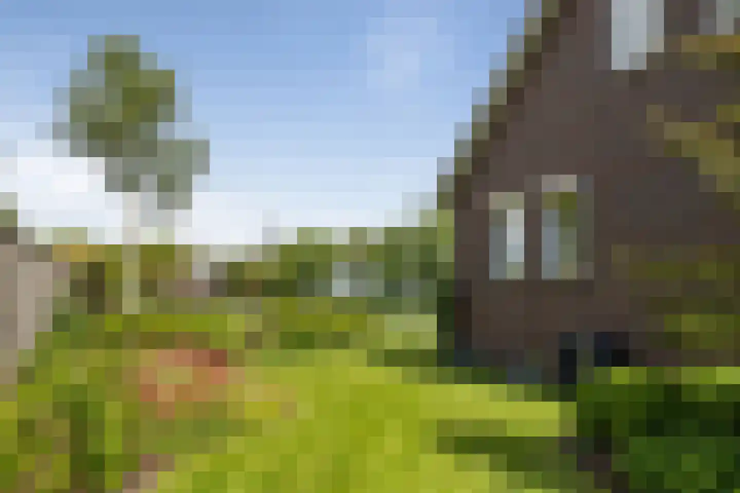 Albstraat 2 Schoonebeek thumbnail 8