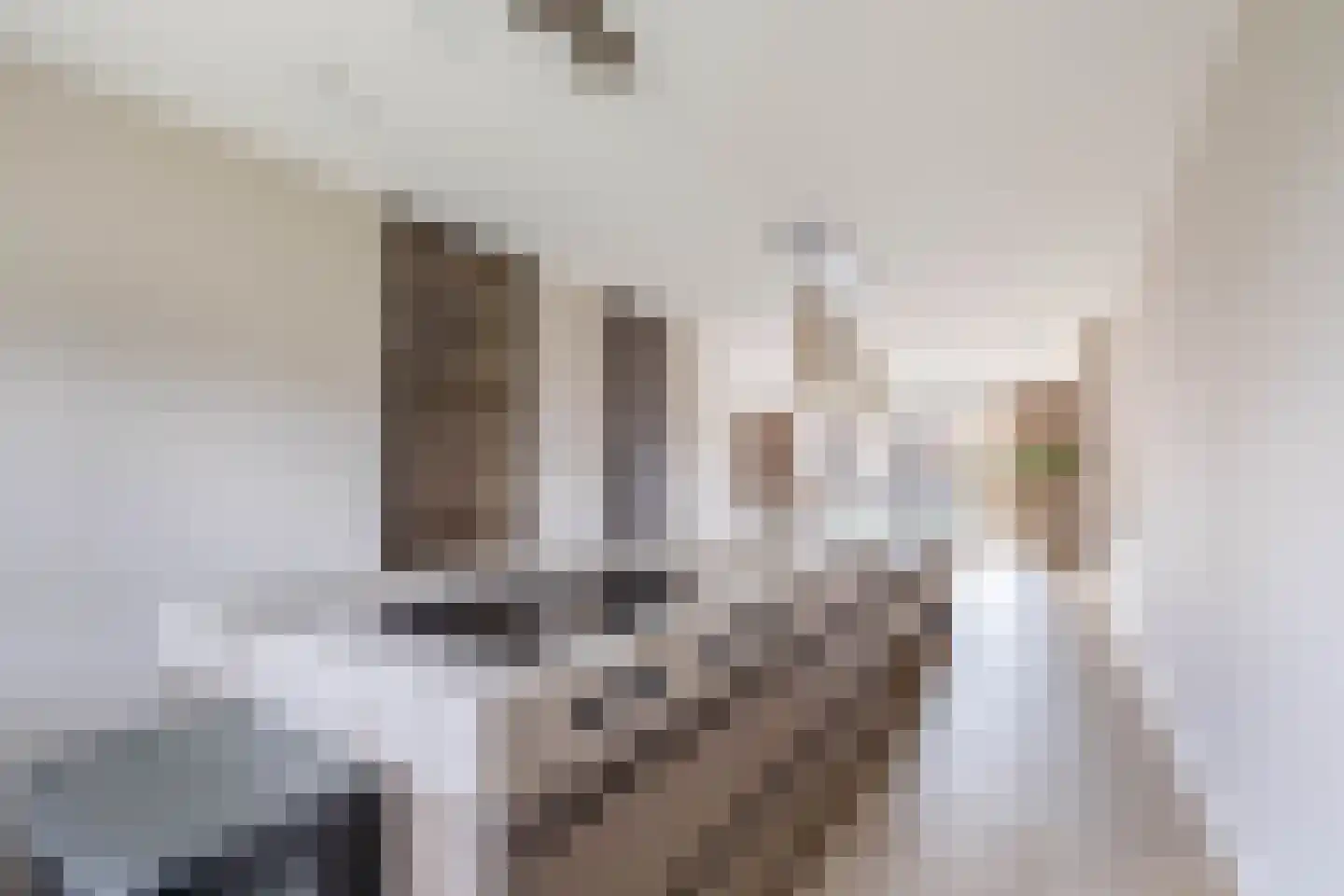 Alcazar 17 Zevenhuizen thumbnail 12