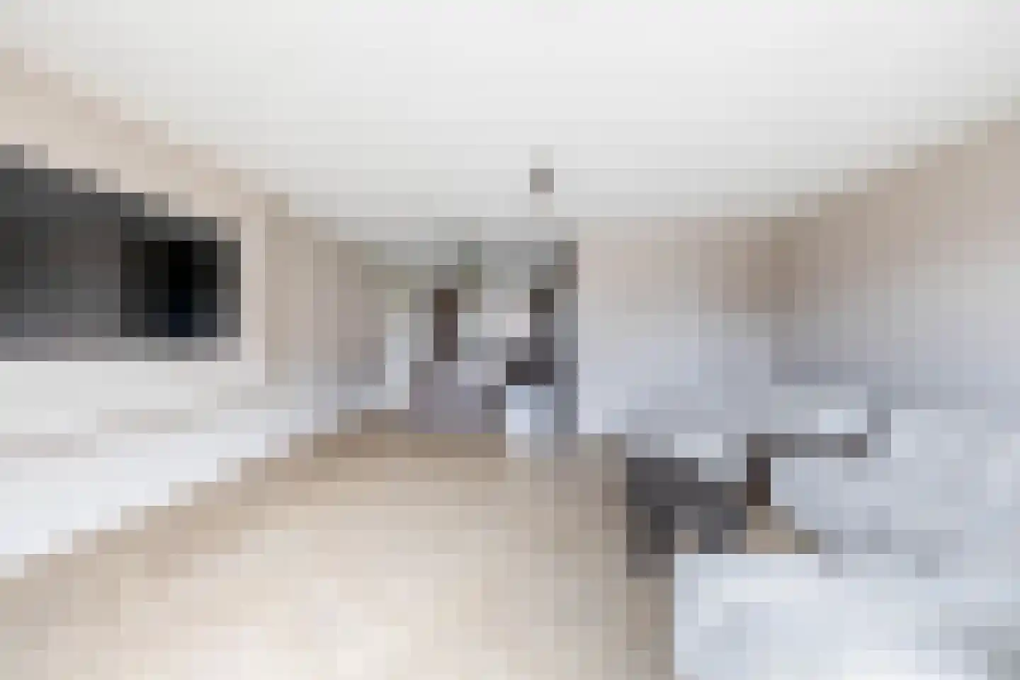 Alcazar 17 Zevenhuizen thumbnail 8