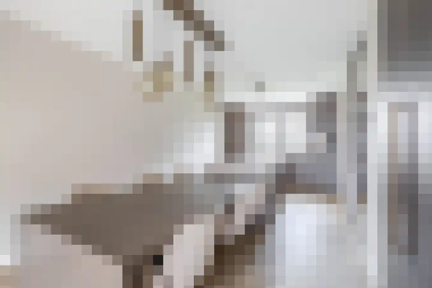 Alcazar 17 Zevenhuizen thumbnail 9