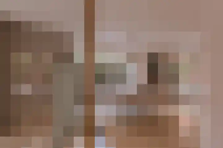 Alcide de Gasperistraat 6 Herten thumbnail 10