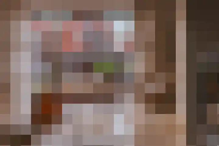 Alcide de Gasperistraat 6 Herten thumbnail 11
