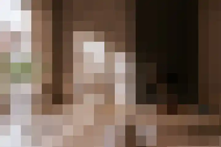 Alcide de Gasperistraat 6 Herten thumbnail 12