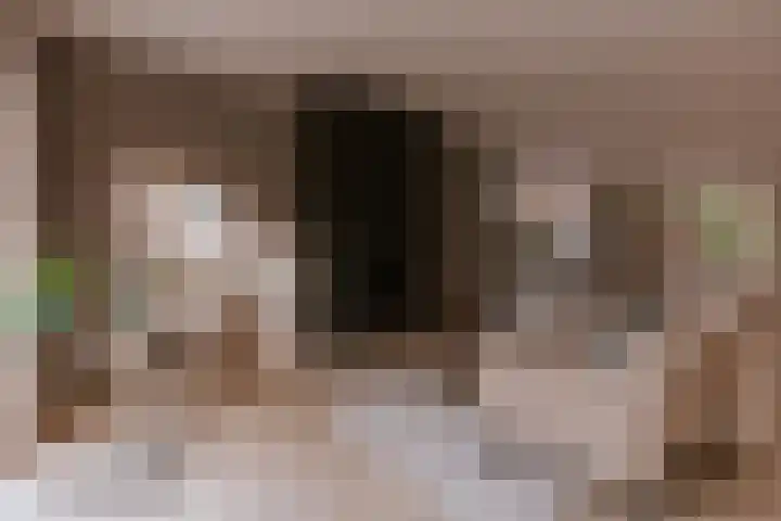 Alcide de Gasperistraat 6 Herten thumbnail 13