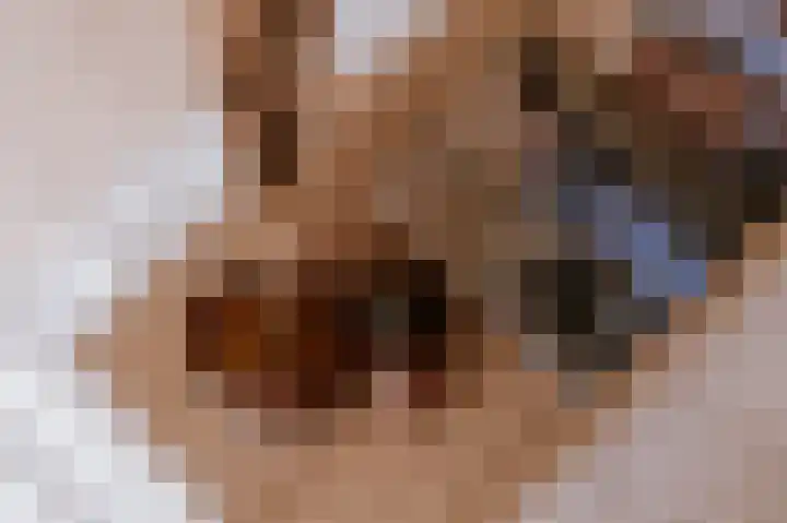 Alcide de Gasperistraat 6 Herten thumbnail 14