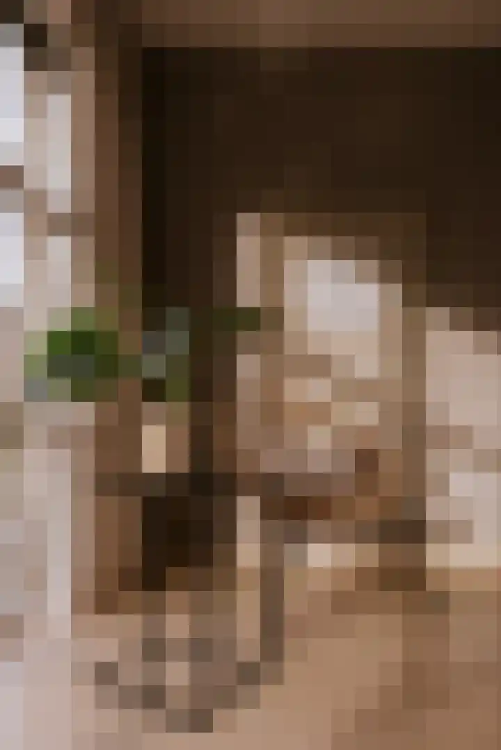 Alcide de Gasperistraat 6 Herten thumbnail 15