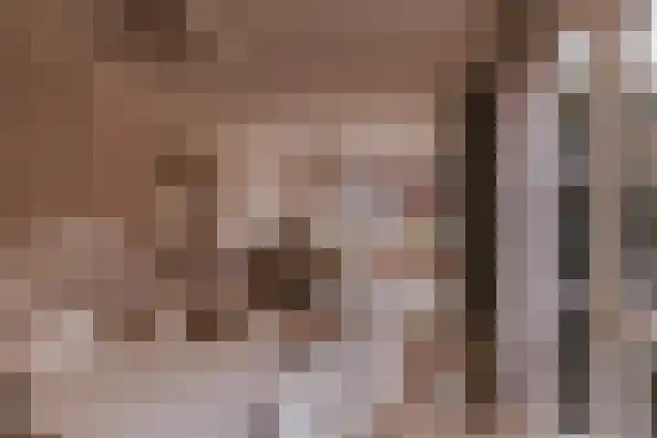 Alcide de Gasperistraat 6 Herten thumbnail 16