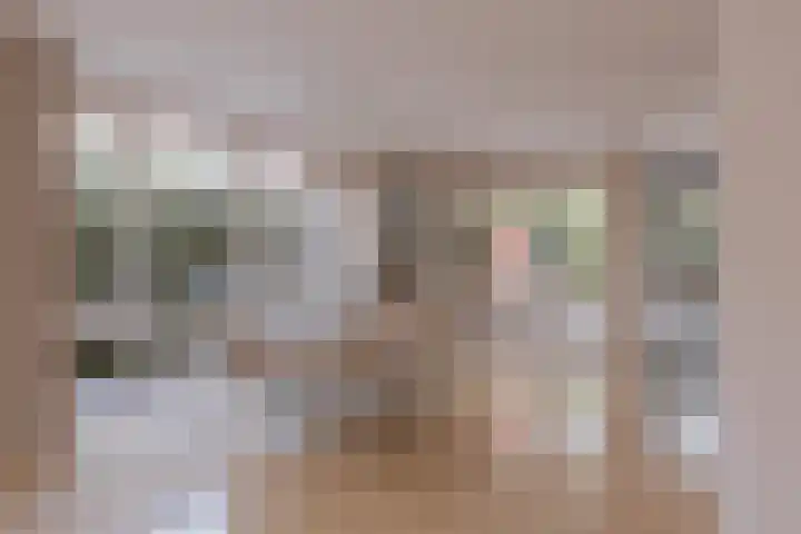Alcide de Gasperistraat 6 Herten thumbnail 17