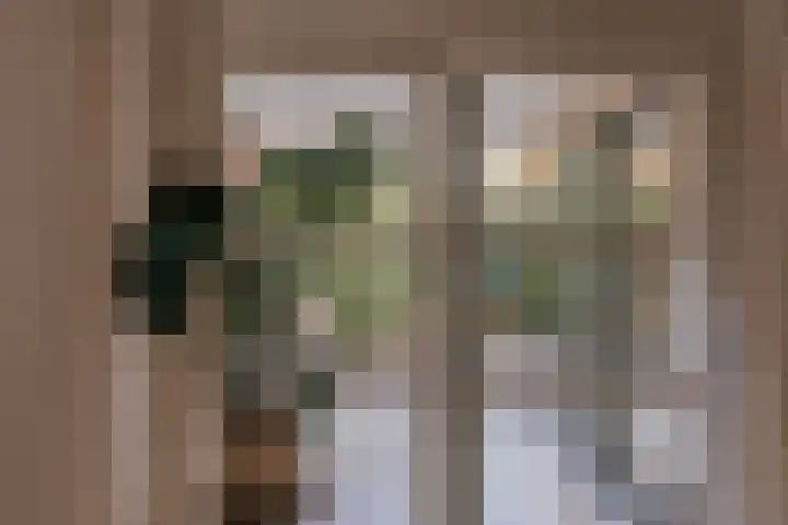Alcide de Gasperistraat 6 Herten thumbnail 18