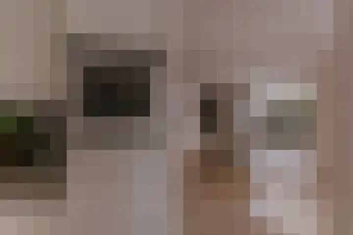 Alcide de Gasperistraat 6 Herten thumbnail 20