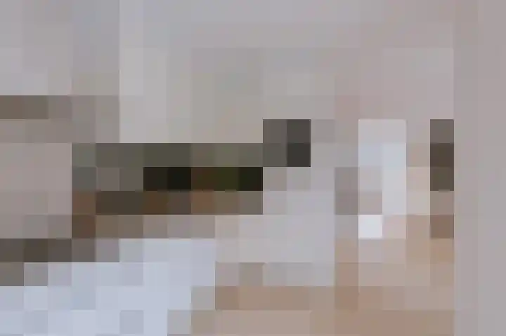 Alcide de Gasperistraat 6 Herten thumbnail 21