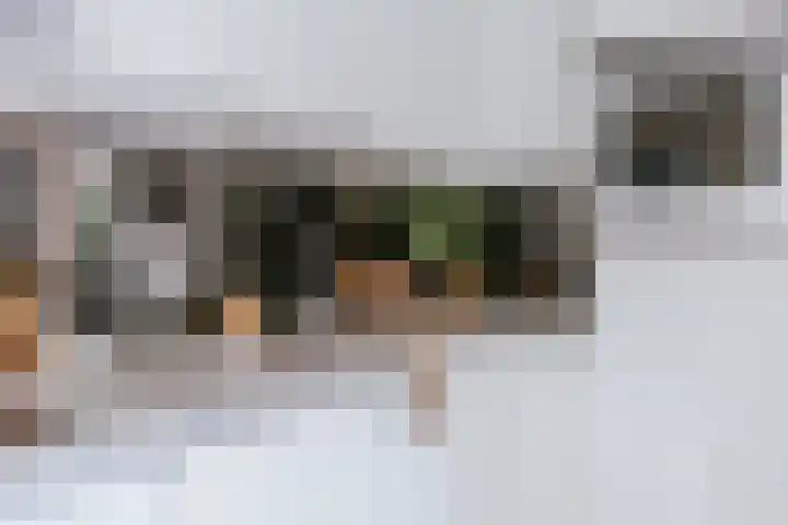 Alcide de Gasperistraat 6 Herten thumbnail 22