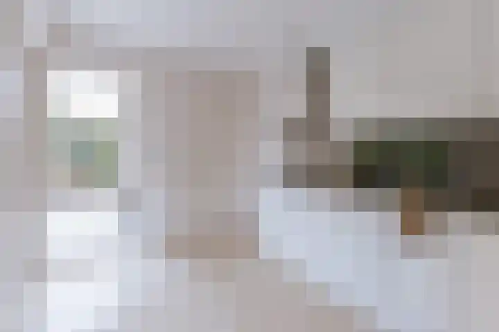 Alcide de Gasperistraat 6 Herten thumbnail 23