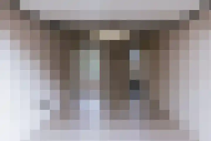 Alcide de Gasperistraat 6 Herten thumbnail 25