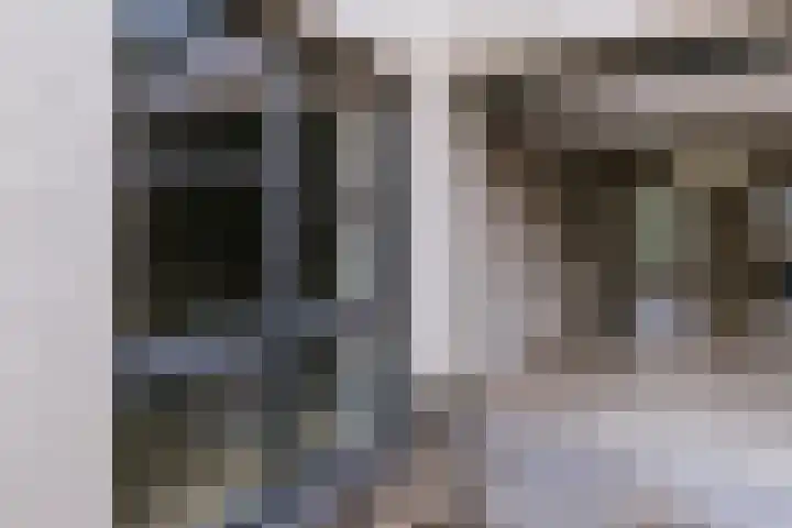 Alcide de Gasperistraat 6 Herten thumbnail 26