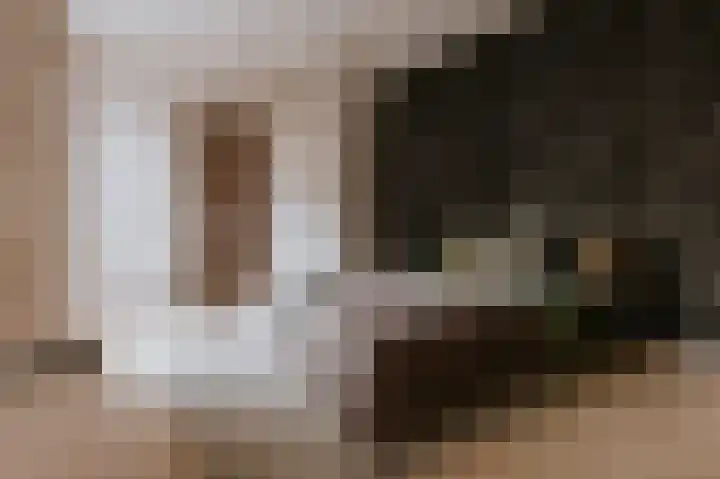 Alcide de Gasperistraat 6 Herten thumbnail 27