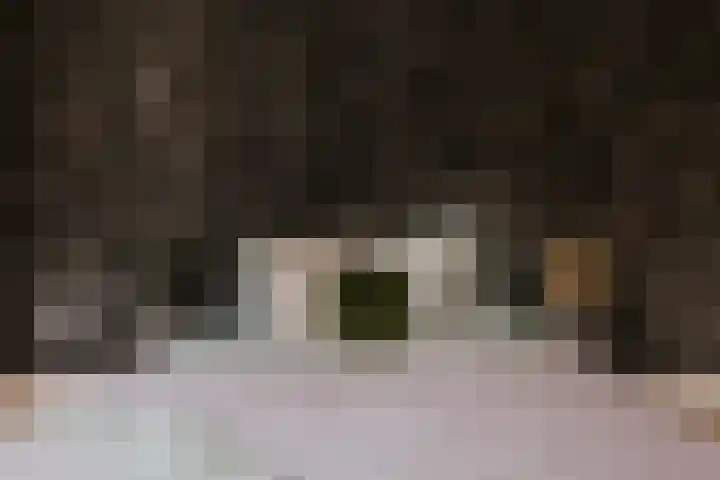 Alcide de Gasperistraat 6 Herten thumbnail 28