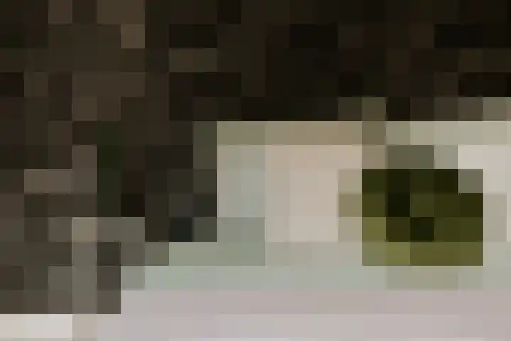 Alcide de Gasperistraat 6 Herten thumbnail 30
