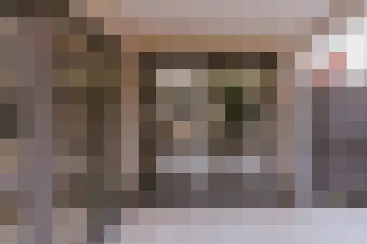 Alcide de Gasperistraat 6 Herten thumbnail 34