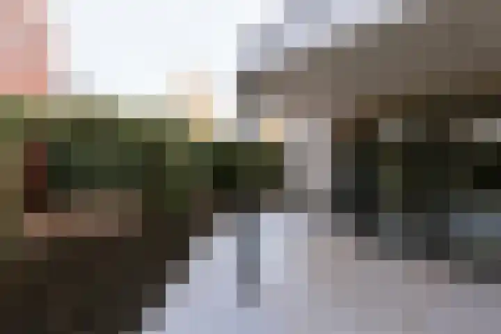 Alcide de Gasperistraat 6 Herten thumbnail 35