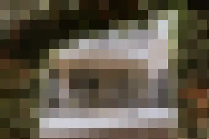 Alcide de Gasperistraat 6 Herten thumbnail 36