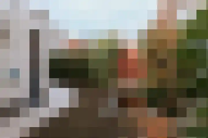 Alcide de Gasperistraat 6 Herten thumbnail 38
